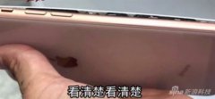 iPhone 8 PlusбΪεػİͱը